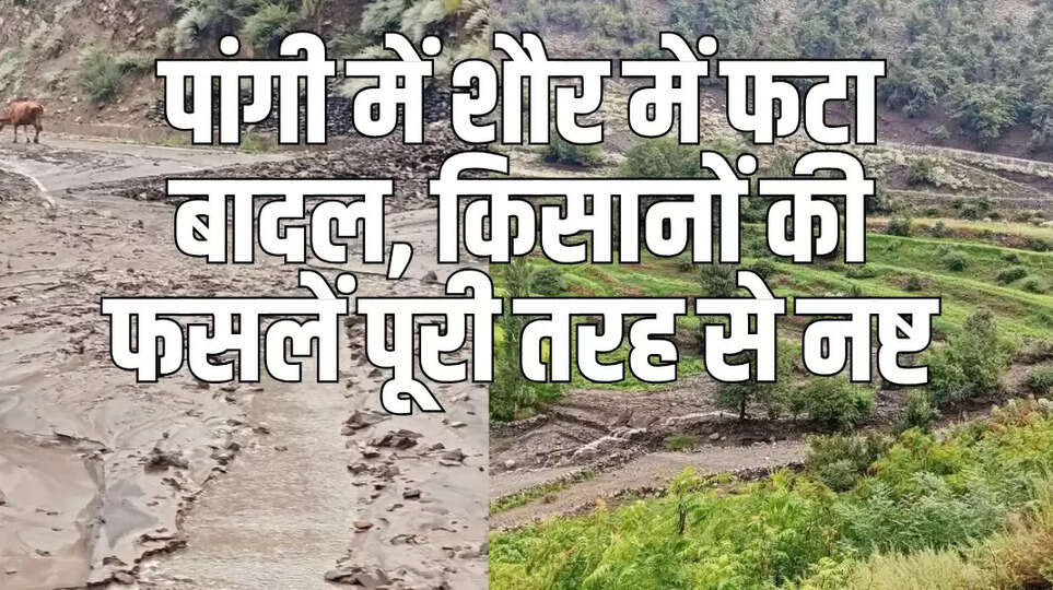 Chamba Pangi News