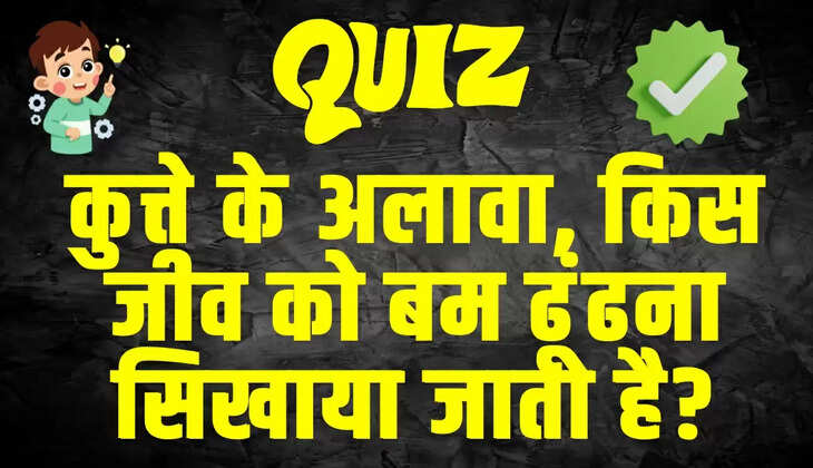 Trending Quiz 