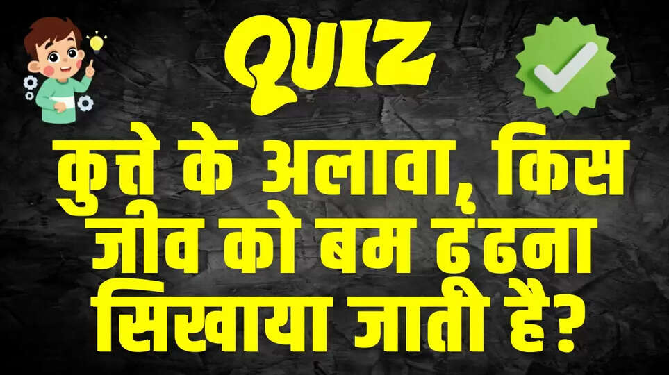 Trending Quiz 