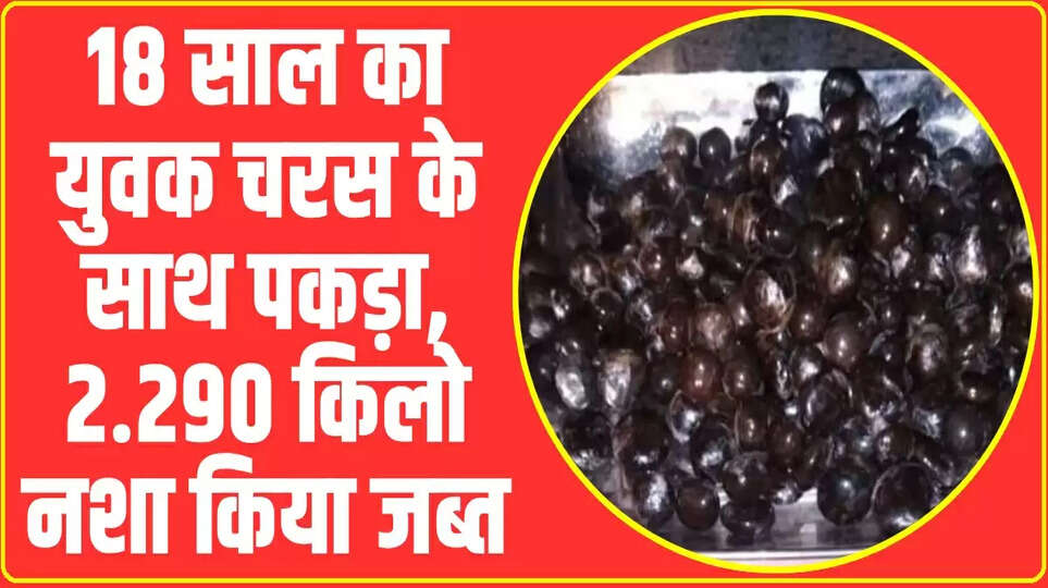 Himachal News