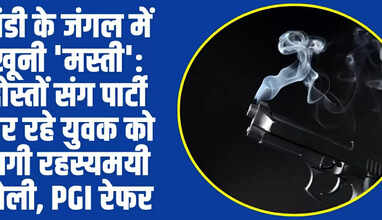  Himachal News: मंडी के जंगल में खूनी 'मस्ती': दोस्तों संग पार्टी कर रहे युवक को लगी रहस्यमयी गोली, PGI रेफर
