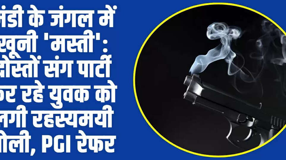 Himachal News: मंडी के जंगल में खूनी 'मस्ती': दोस्तों संग पार्टी कर रहे युवक को लगी रहस्यमयी गोली, PGI रेफर