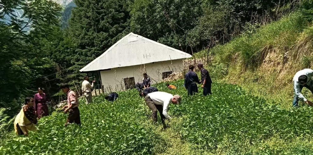 राजकीय हाई स्कूल मिंधल स्टाफ