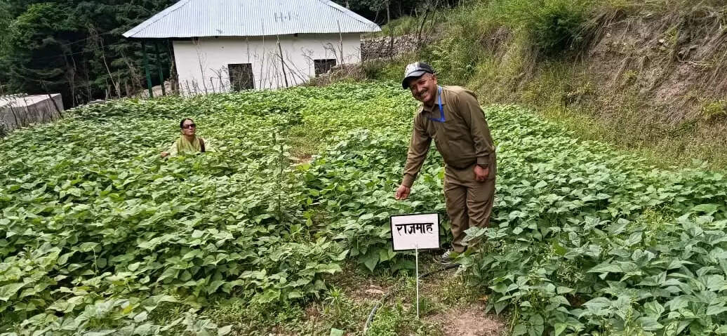 Chamba Pangi News: राजकीय हाई स्कूल मिंधल स्टाफ