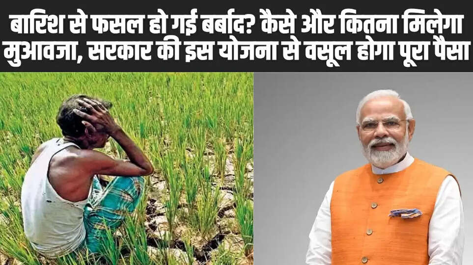 Pradhan Mantri Fasal Bima Yojana: 