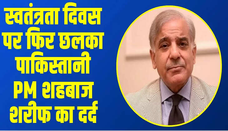 Shehbaz Sharif on India:
