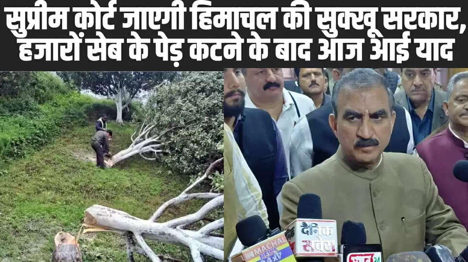 Himachal News: सुप्रीम कोर्ट जाएगी हिमाचल की सुक्खू सरकार, हजारों सेब के पेड़ कटने के बाद आज आई याद