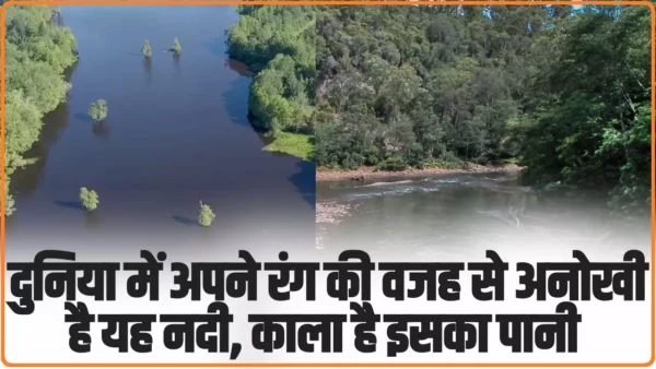 Darkest river in the world: दुनिया में अपने रंग की वजह से अनोखी है यह नदी, काला है इसका पानी