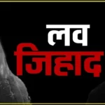 Himachal News:&nbsp;