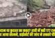 रावी में बही 177 टन लकड़ी प्राकृतिक आपदा का नतीजा, अवैध कटान नहीं। । (Source: Social Media)