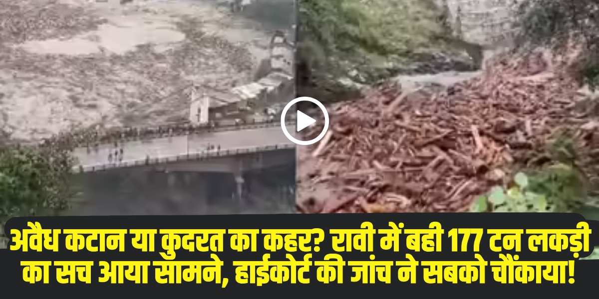 रावी में बही 177 टन लकड़ी प्राकृतिक आपदा का नतीजा, अवैध कटान नहीं। । (Source: Social Media)