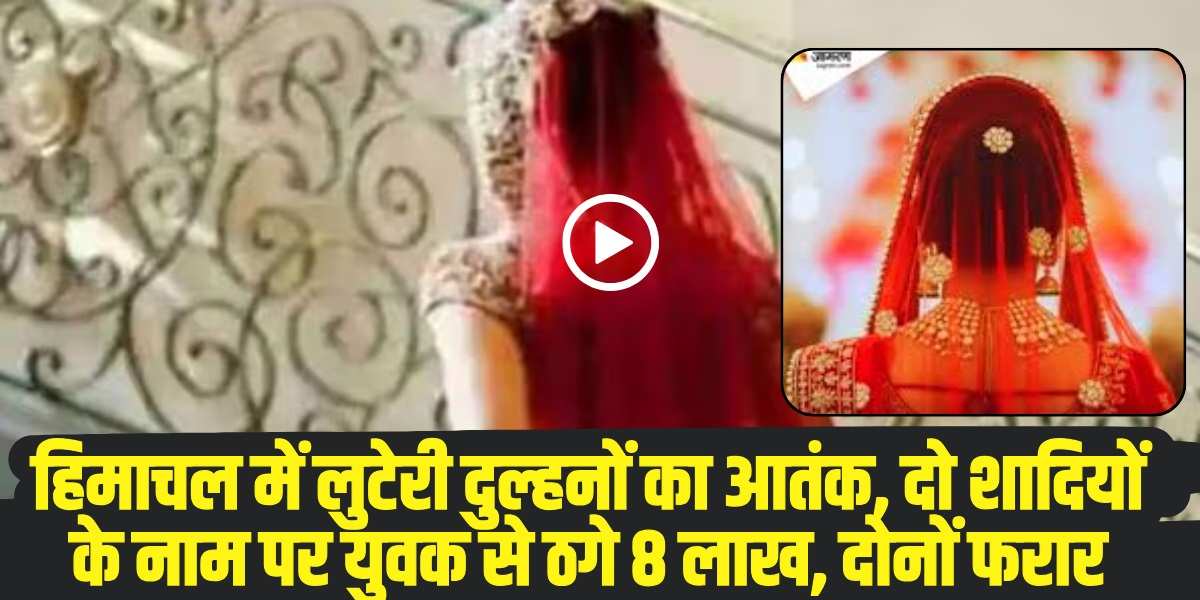 हमीरपुर में युवक से शादी के नाम पर 8 लाख की ठगी। । (Source: Social Media