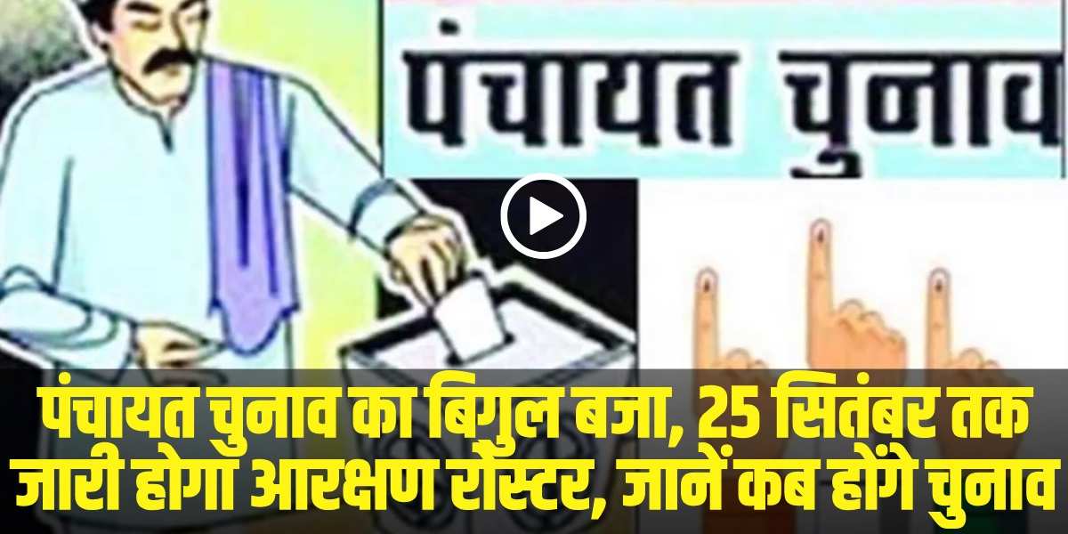 शिमला के नेरवा में गहरी खाई में गिरी बोलेरो कैंपर गाड़ी। | Source: Social Media)