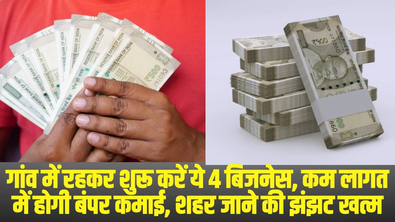 Village Business Ideas ||