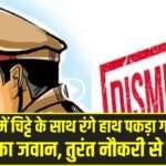 हिमाचल में चिट्टे के साथ रंगे हाथ पकड़ा गया ट्रैफिक पुलिस का जवान, तुरंत नौकरी से बर्खास्त